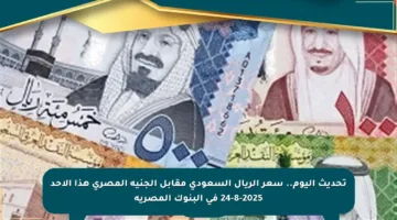 تحديث اليوم.. سعر الريال السعودي مقابل الجنيه المصري هذا الأحد 24-8-2025 في البنوك المصرية